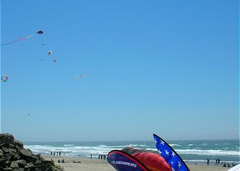 Flying Kites on the Beach