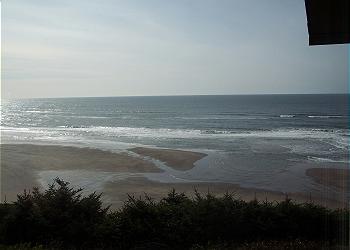View from the side yard
