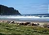 Neskown, Oregon Ocean Front Condo