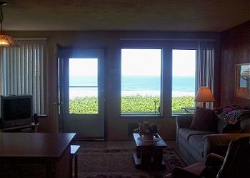 Living Room View