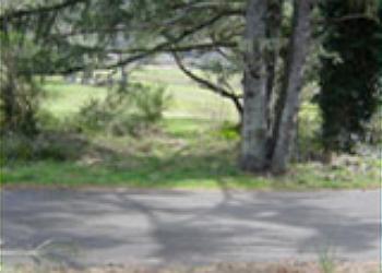 Golf Course View