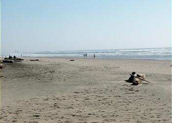 Miles of sandy beaches