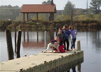 Dock!