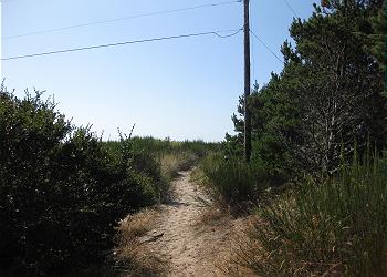 Trail To Beach