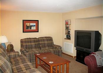 Apartment Family Room with Big Screen TV