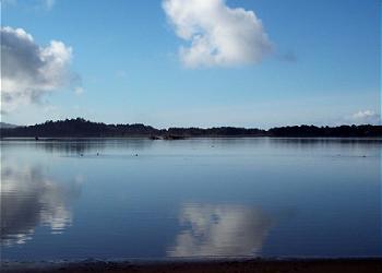 Calm Bay Waters