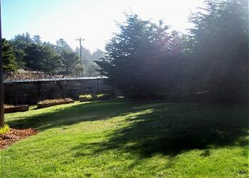 Fenced Back Yard