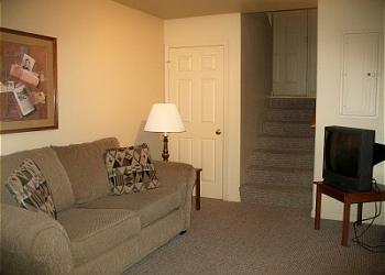Den with Sleeper Sofa
