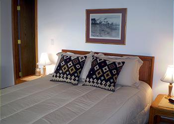 Lower LEvel Guest Room