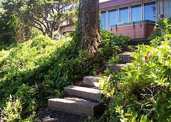 Beach Trail Stairs