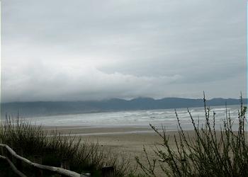 Miles of sandy beach to explore!