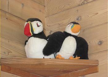 Any puffin would be proud to perch here!