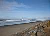 Neskowin, Oregon Condo Allows Dog!