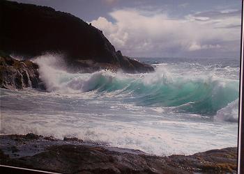 Right on the beautiful Oregon Coast