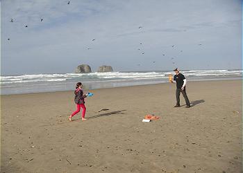 Over 7 miles of sand for play on nearby beach