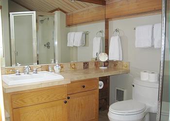 Upstairs Bathroom- Shower & Jetted Tub