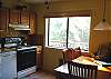 Woodsy view from kitchen