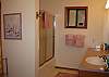 Hall Bathroom with Tub/Shower Combo
