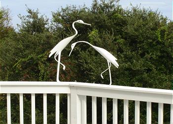 Heron Haven - 3