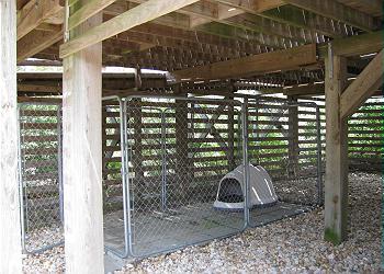 Dog Kennel