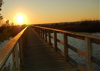 Community Pier