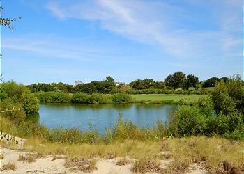 Pond