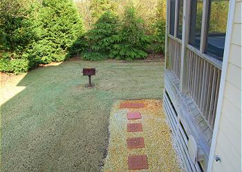 Side Yard