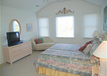 Live Oak - 5