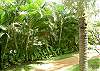 Kauai Villa rental - Exterior Photo - 2 Br Garden View Exterior View