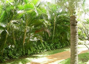Kauai Villa rental - Exterior Photo - 2 Br Garden View Exterior View