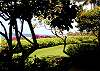 The front lanai area