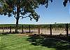Vineyard View