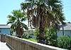 Back Deck