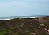 Direct gulf views from almost every room in the unit!