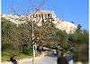 Acropolis Oasis