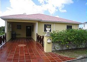 Barbados Sungold House Hibiscus Barbados Sungold House Hibiscus