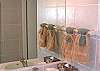 Guest bath.