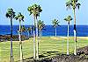 Exquisite spacious three bedroom three bath ocean view Halii Kai.
