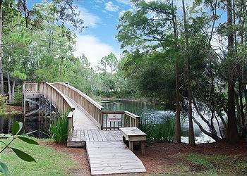 Boardwalk to Nature Trails ~ Seagrove Beach, FL