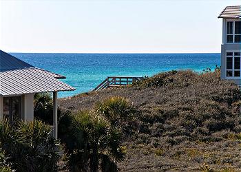 Blue Lupine 322 ~ Blue Mountain Beach, FL
