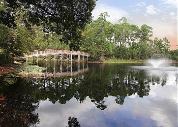 Pond Area