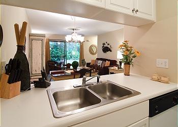 View from the Kitchen ~ Seagrove Beach, FL