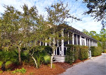 Plantation Dreams