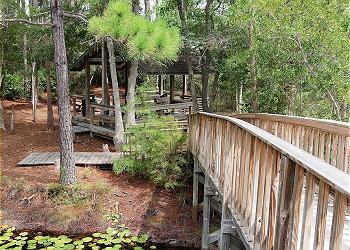 Grilling Area