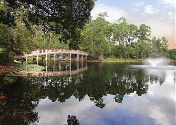 Fishing Pond ~ Seagrove Beach, FL