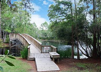 Community Fish Pond