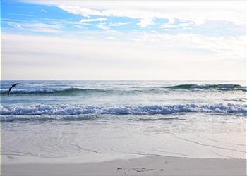 Area Beach ~ Seagrove Beach, FL