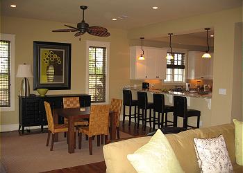 Living/ DIning and Kitchen Area