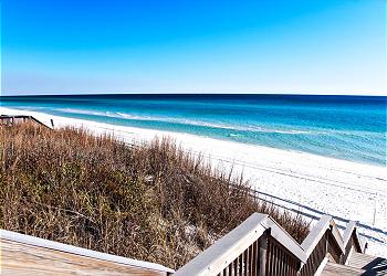 Blue Lupine 322 ~ Blue Mountain Beach, FL