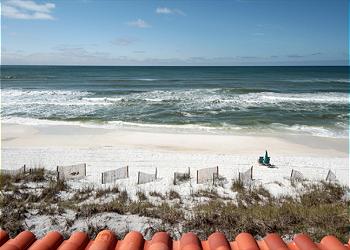 Sand Dollar ~ Santa Rosa Beach, FL